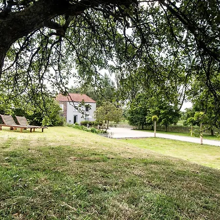 Scheldekant
