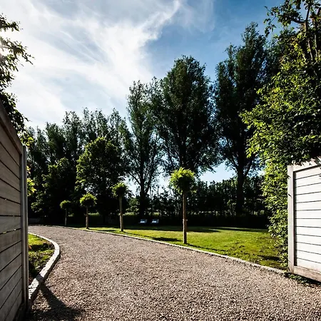 Scheldekant