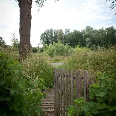 Scheldekant Panzió